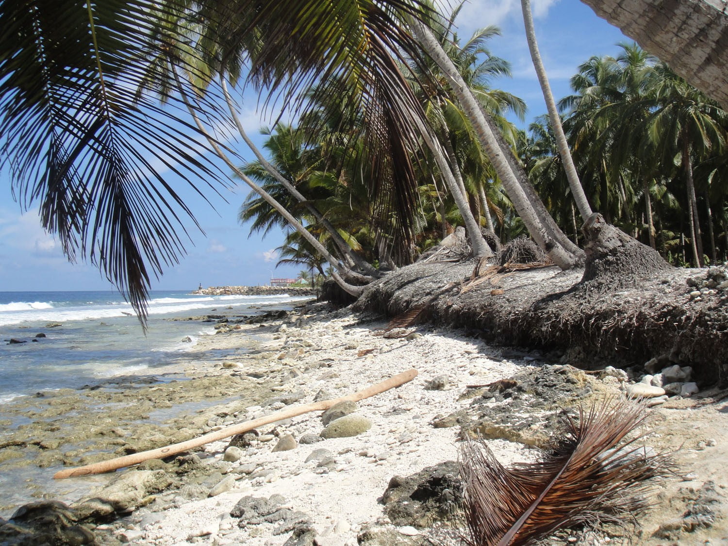 Kustbescherming Maldiven